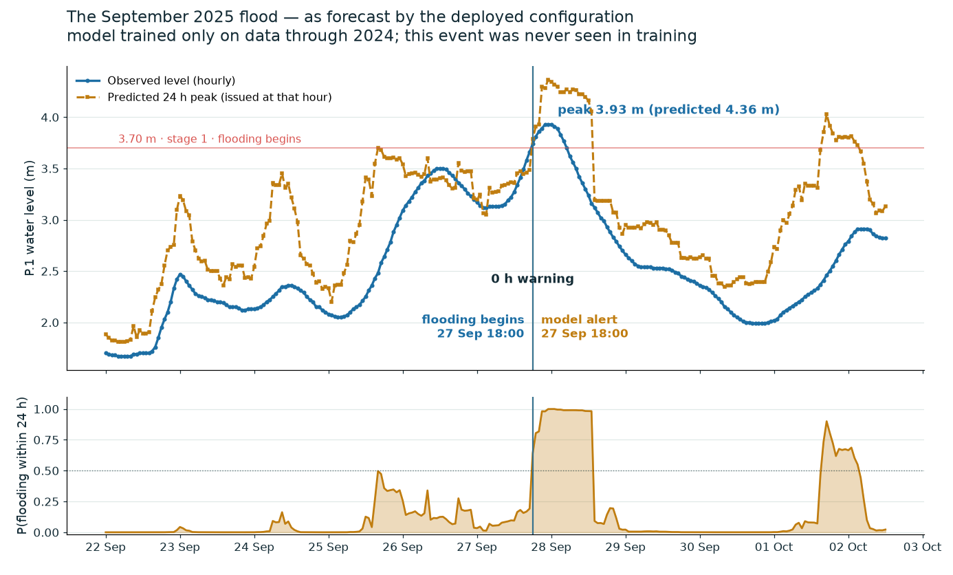 Observed vs predicted through the September 2025 flood — model trained only
through 2024