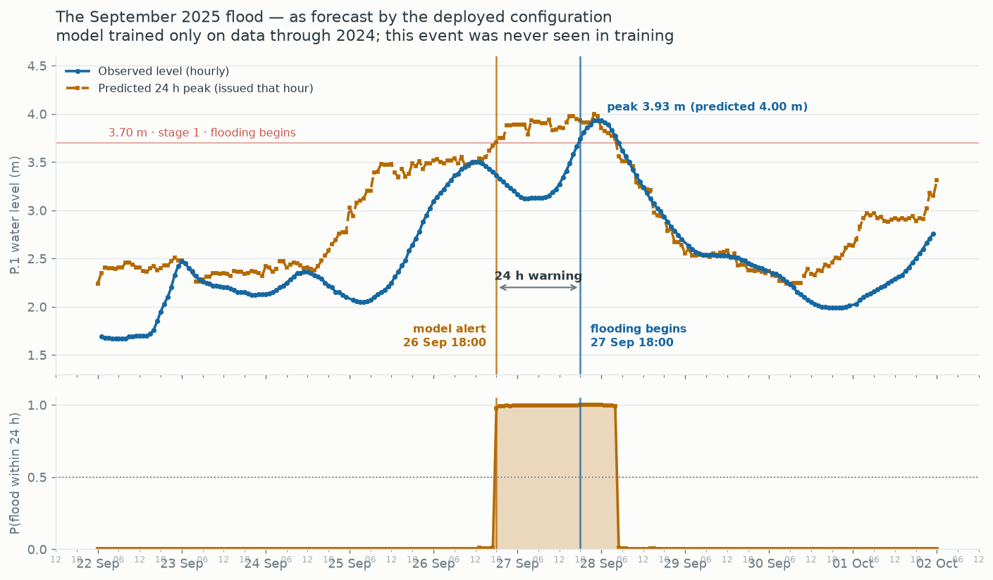Observed vs predicted through the September 2025 flood — model trained only
through 2024