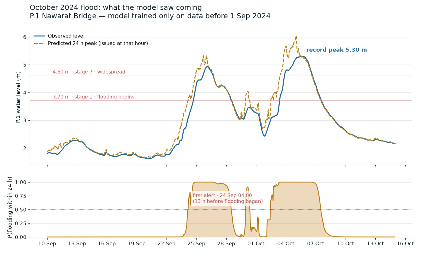 Observed P.1 level vs the model's 24 h-ahead predicted peak through the
October 2024 flood, with the warning probability below