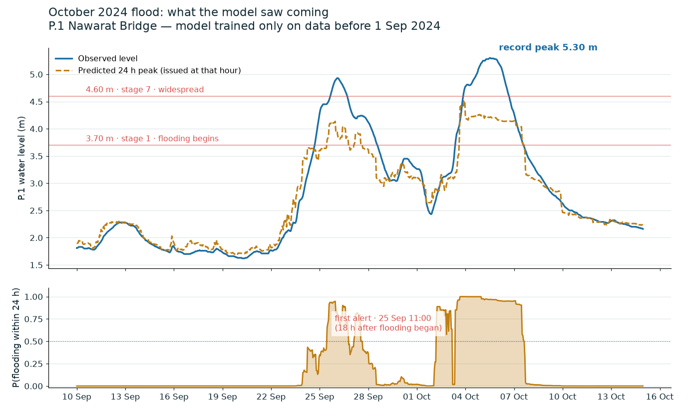 Observed P.1 level vs the model's 24 h-ahead predicted peak through the
October 2024 flood, with the warning probability below