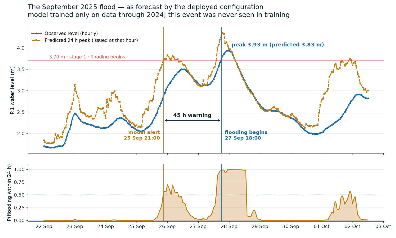 Observed vs predicted through the September 2025 flood — model trained only
through 2024