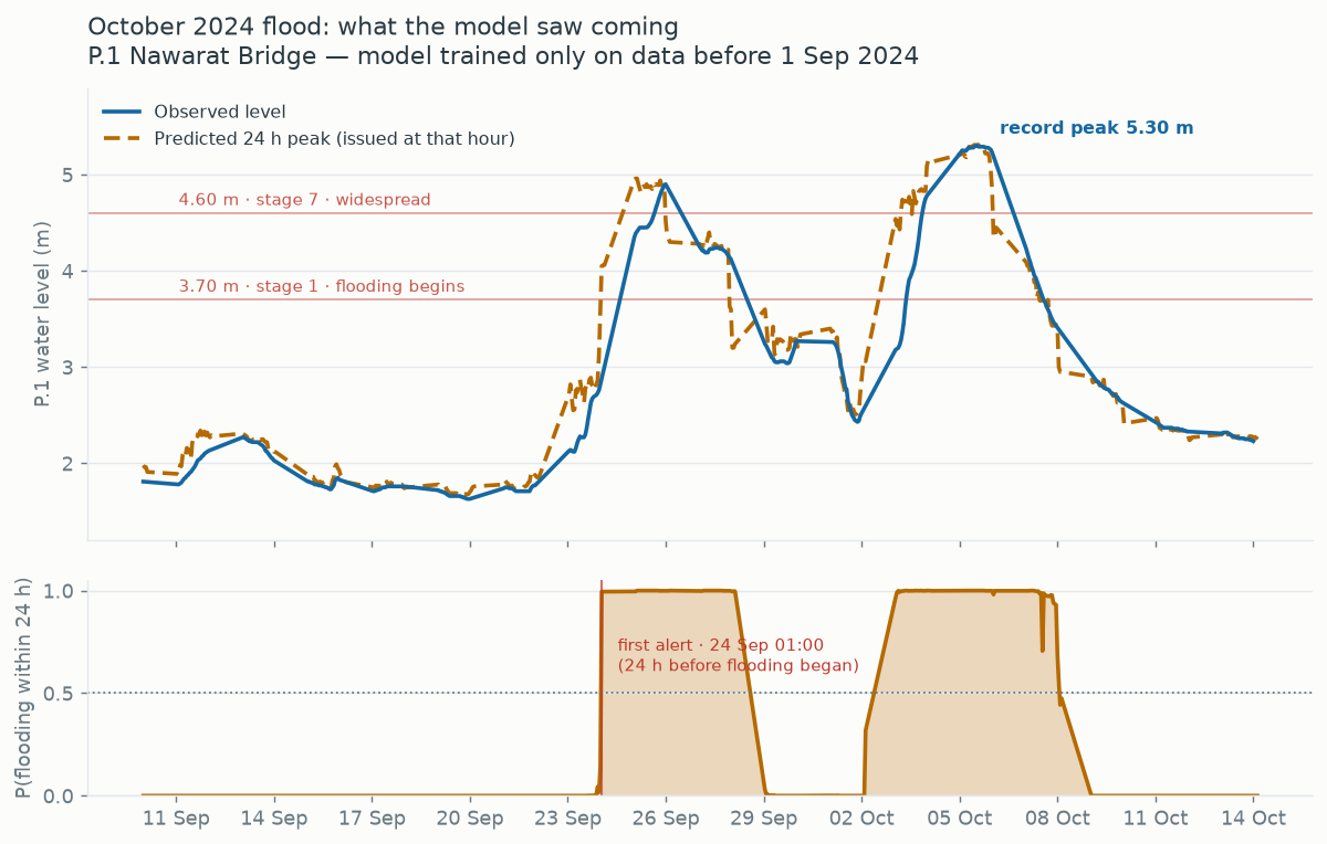 Observed P.1 level vs the model's 24 h-ahead predicted peak through the
October 2024 flood, with the warning probability below
