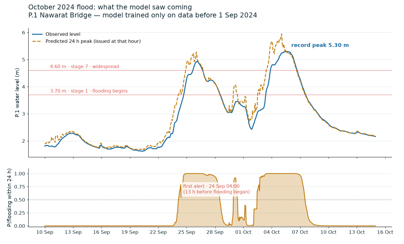 Observed P.1 level vs the model's 24 h-ahead predicted peak through the
October 2024 flood, with the warning probability below