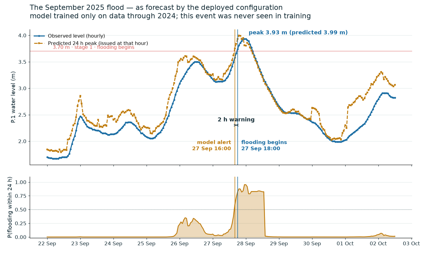 Observed vs predicted through the September 2025 flood — model trained only
through 2024